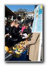 [Click to enlarge image]